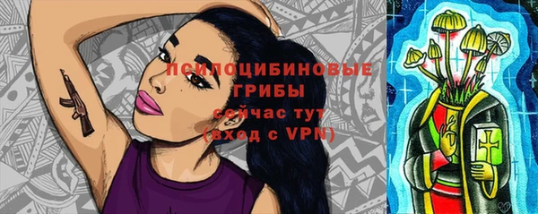дурь Алексин