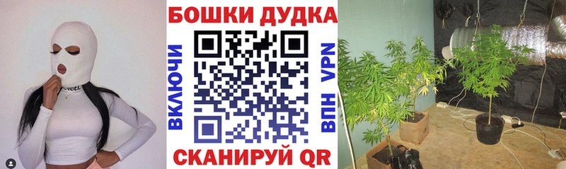 Конопля сатива  наркотики  Белорецк 